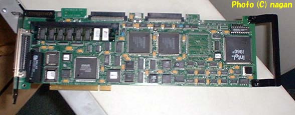 SCSI RAID カード