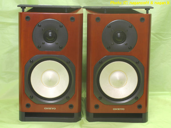 ONKYO オンキョー D-N9(D) 2WAYバスレフ型スピーカー ペア X-N9